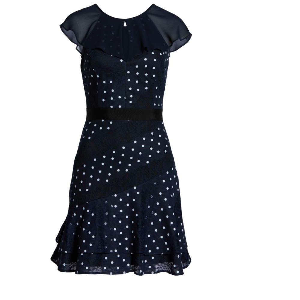 Harlyn Polka Dot & Lace Ruffled Minidress